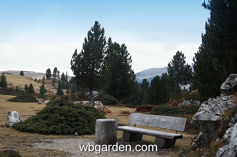 wbgarden alps 89.JPG